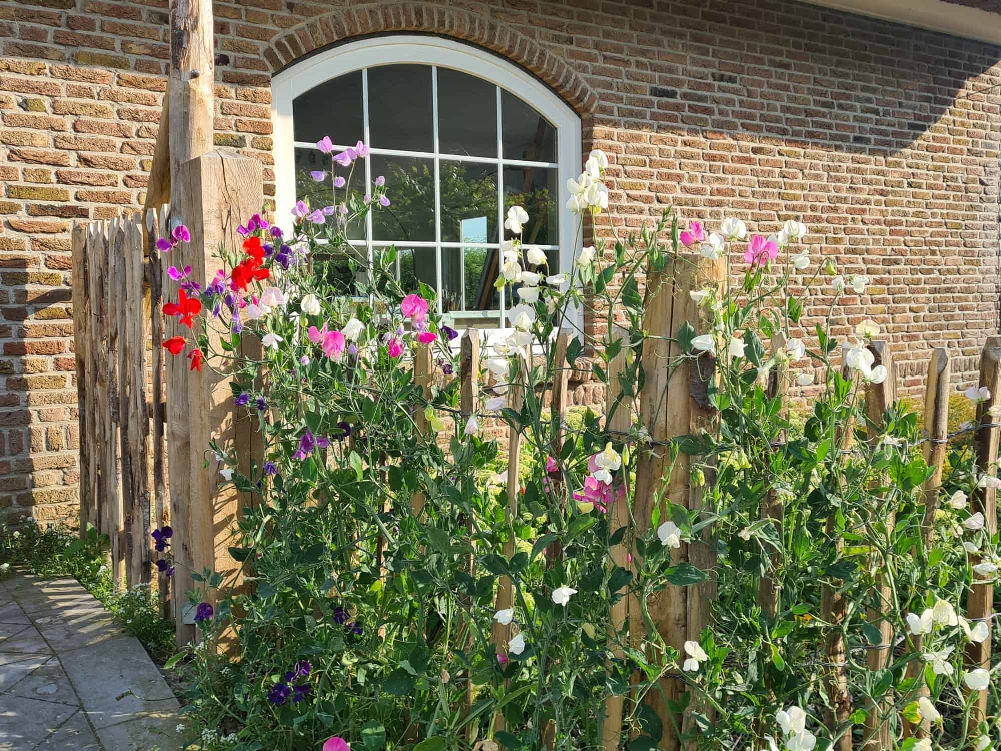 Frans schapenhek met Post en Rail poort en halfronde latjes Adéquat