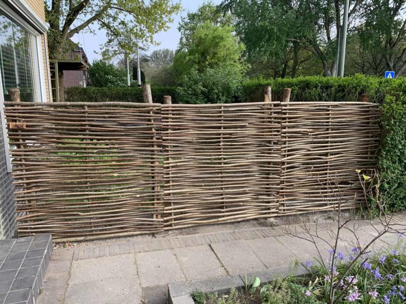 Hazelaarscherm 150 cm Somme 2 tuinafrastering bij stenen pad