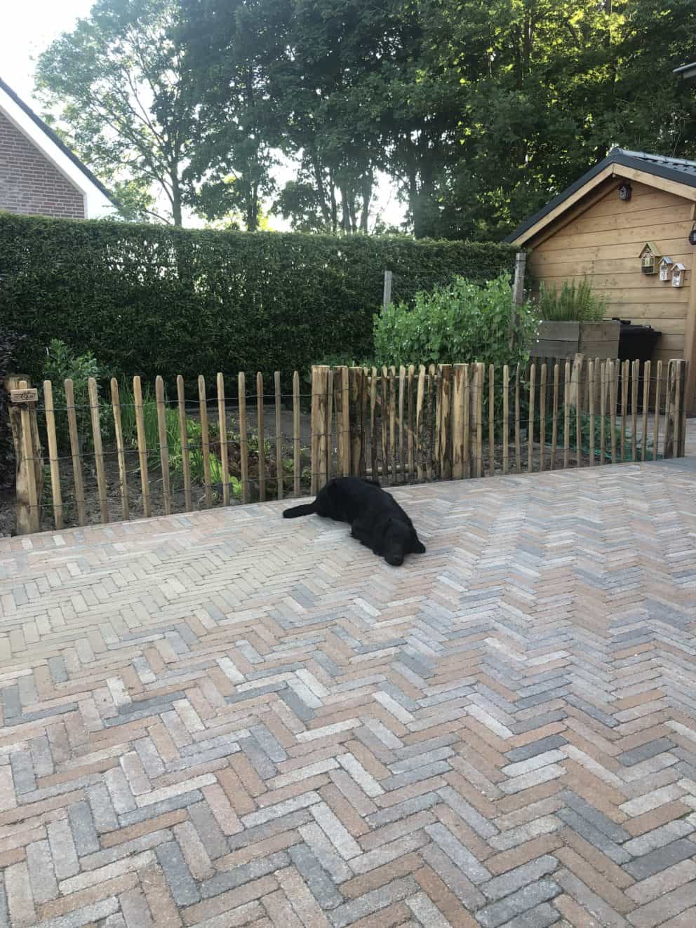 Franse rondhoutpoort van 80 cm hoog bij 80 cm breed geplaatst tussen robinia schapenhek bij een moestuin.