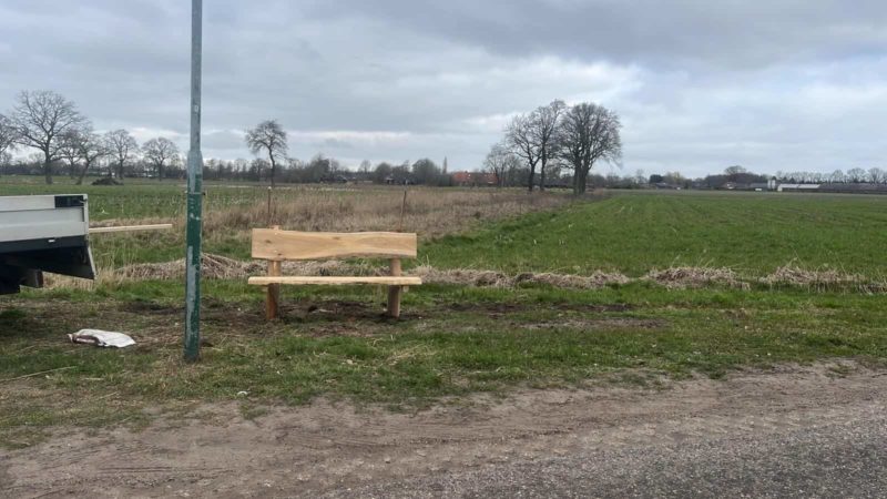 robuuste tuinbank robinia met kastanje schaaldelen