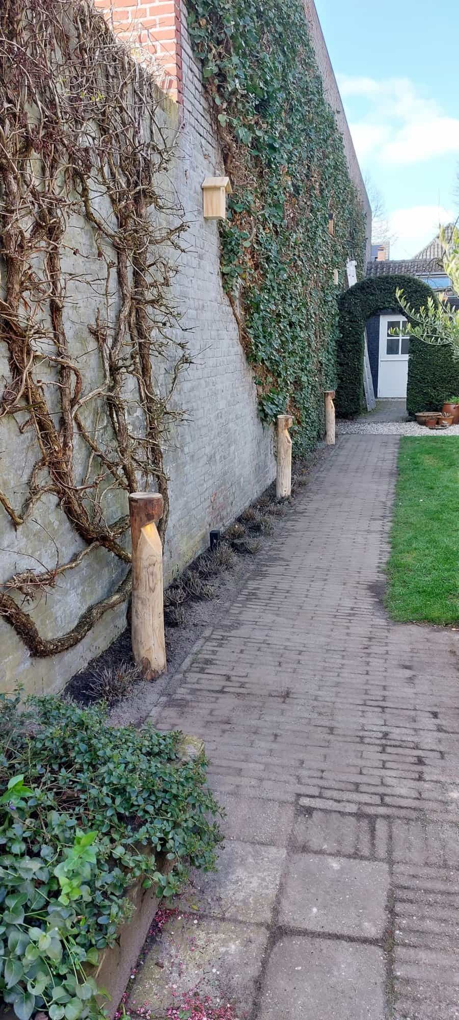 Tuinverlichting Billy rond kastanje voor een sfeervolle verlichting van de tuin