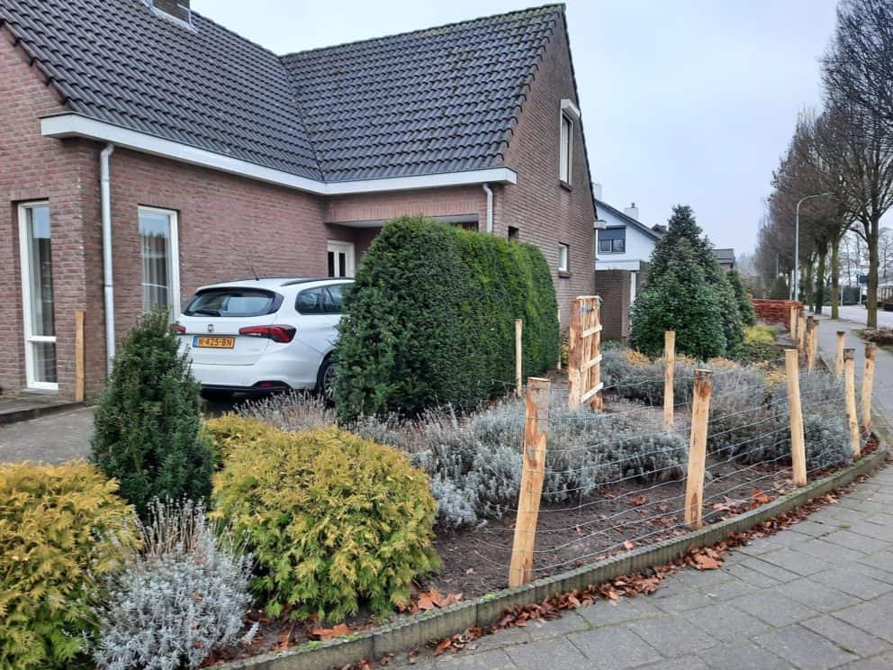 Kastanje palen 7-9 cm voor schapengaas