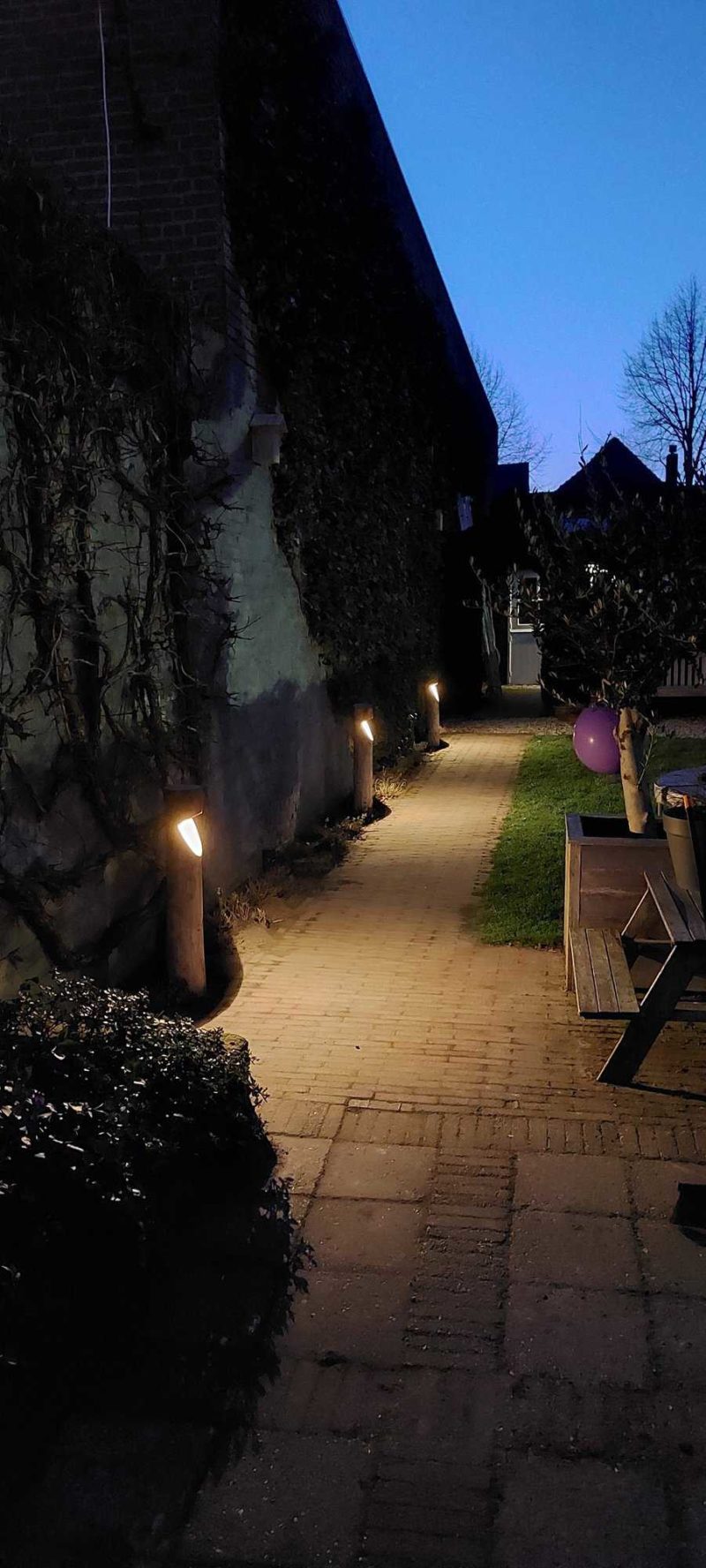 Tuinverlichting Billy rond kastanje voor een sfeervolle verlichting van de tuin