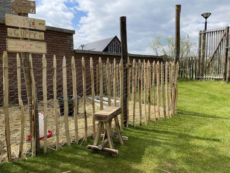 Frans schapenhek van 100 cm hoog met een latafstand van 8 cm in combinatie met kippengaas. Deze afrastering is gebruikt voor de omheining van een kippenhok. Bij de omheining staat een kastanjehouten krukje om naar de kippen te kijken. Aan de linker kant van de foto staat bij het hekwerk een paal met 4 bordjes met daarop de namen van de kippen.