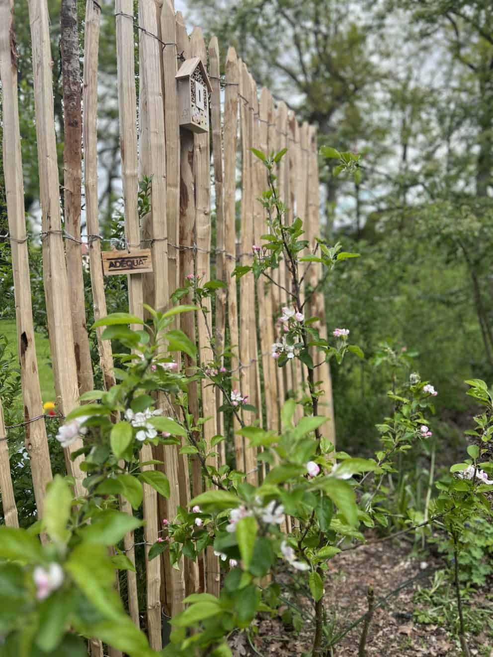 Frans schapenhek van 200 cm hoog met een latafstand van 4 cm. Dit hekwerk wordt gebruikt als omheining en staat naast bloemen die al gedeeltelijk in bloei staan. Aan het hekwerk is een insectenhotel bevestigd.