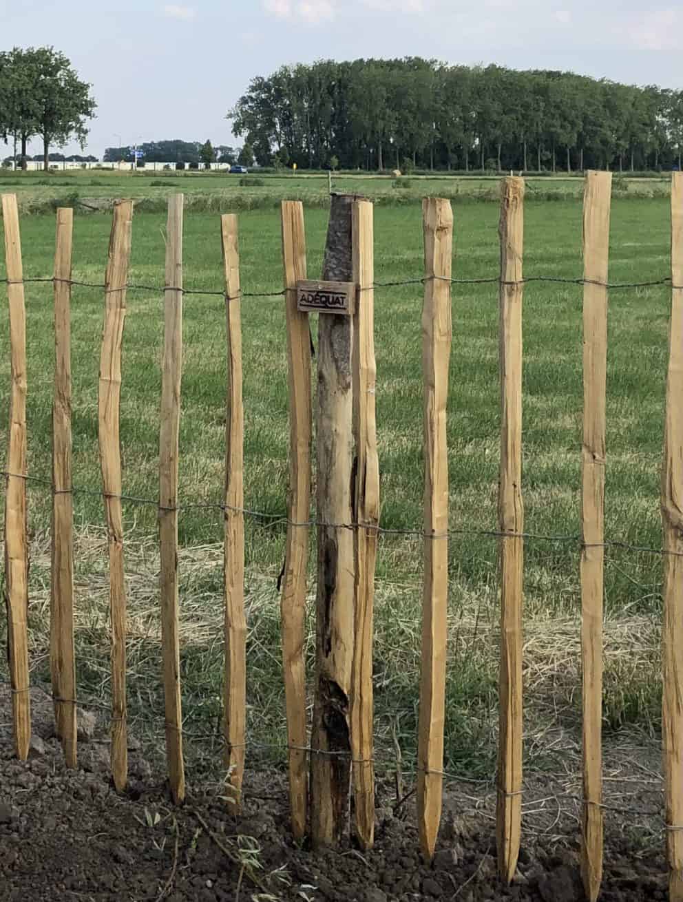 Frans schapenhek van 120 cm hoog met een latafstand van 10 cm als afrastering in de tuin