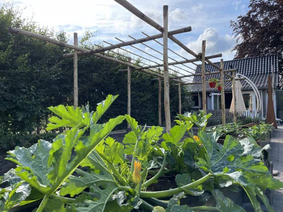 Pergola boven moestuin van kastanje palen 10-12 en 7-9 cm