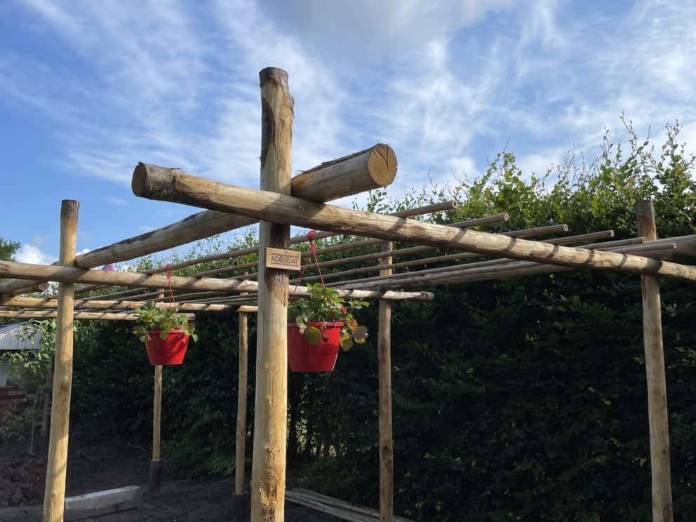 Pergola, gemaakt van kastanje palen in de dieamters 10-12 en 7-9 cm in diverse lengtematen