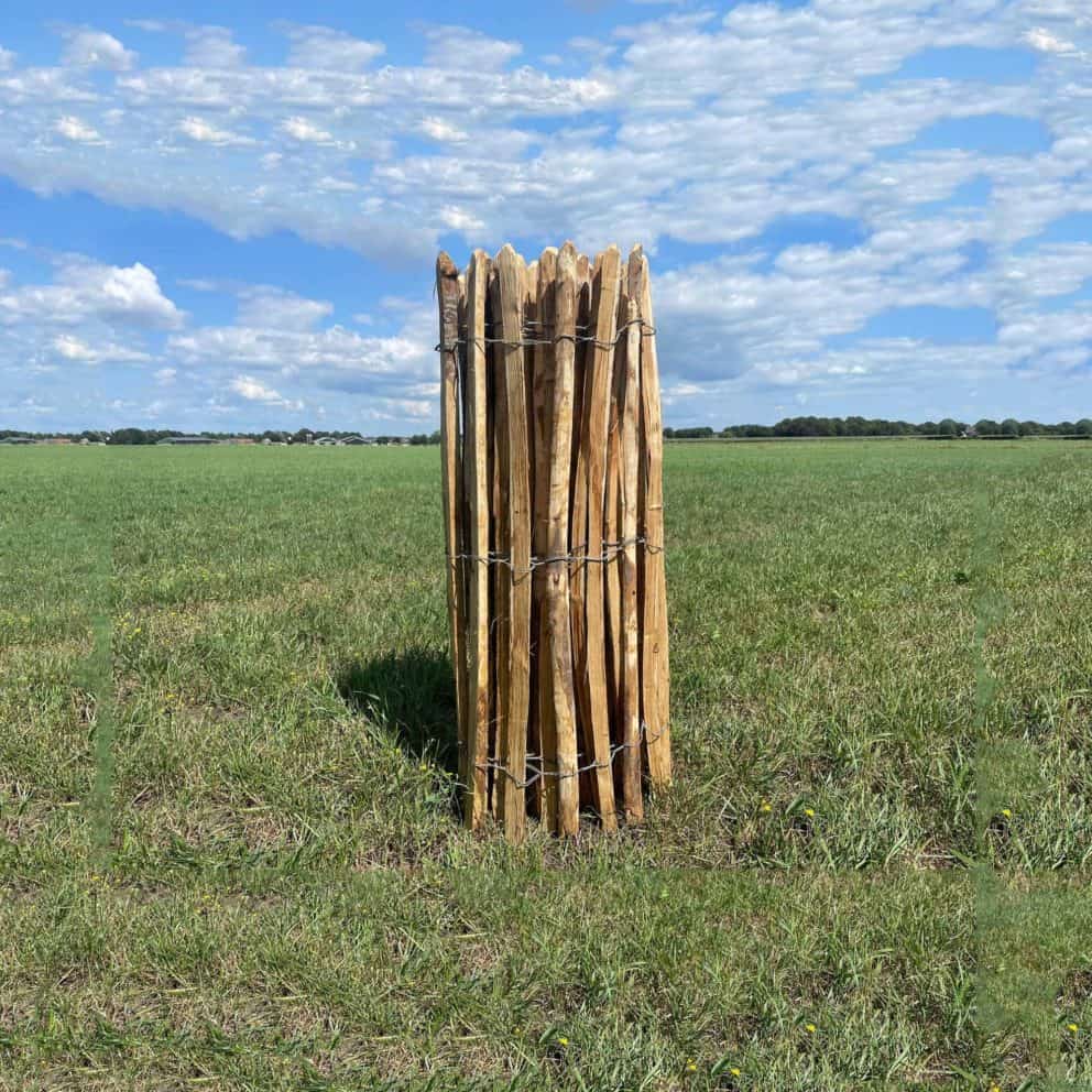 Engels schapenhek van kastanje, 120 cm hoog met een latafstand van 4 cm op een rol van 5 meter van Karwei