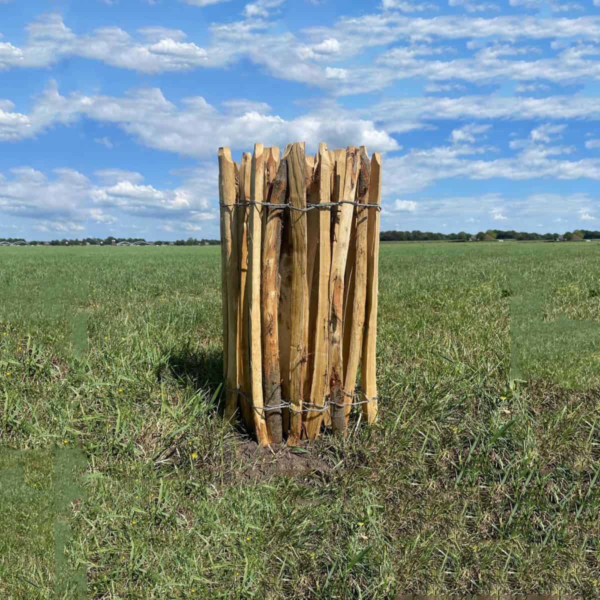 Engels schapenhek van kastanje, 75 cm hoog met een latafstand van 6 cm op een rol van 5 meter van Praxis