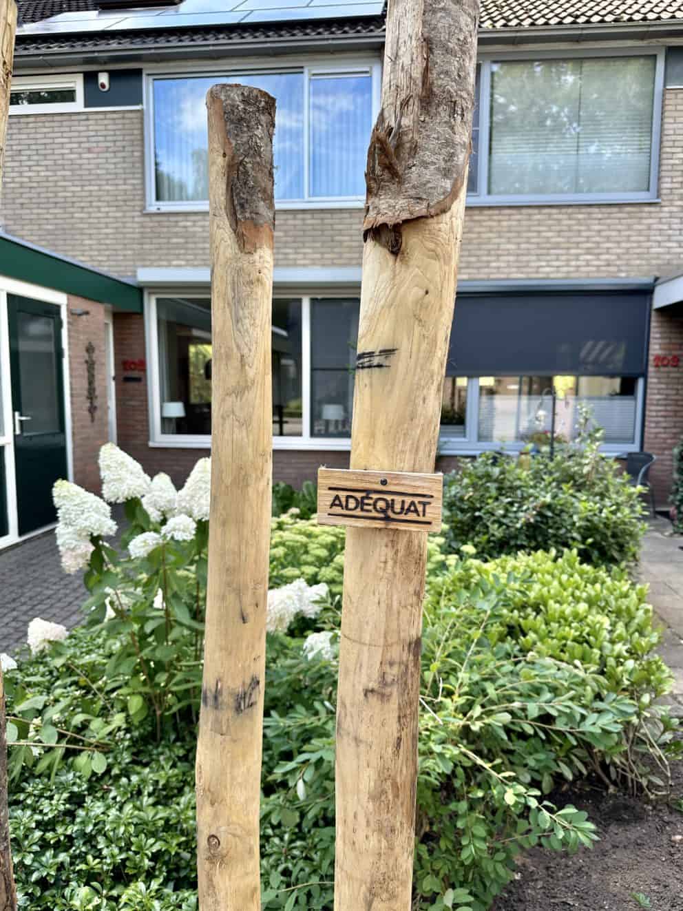 Kastanje palen van 250 cm lang met diameter 10-12 cm als speelse afscheiding gebruikt in een tuin