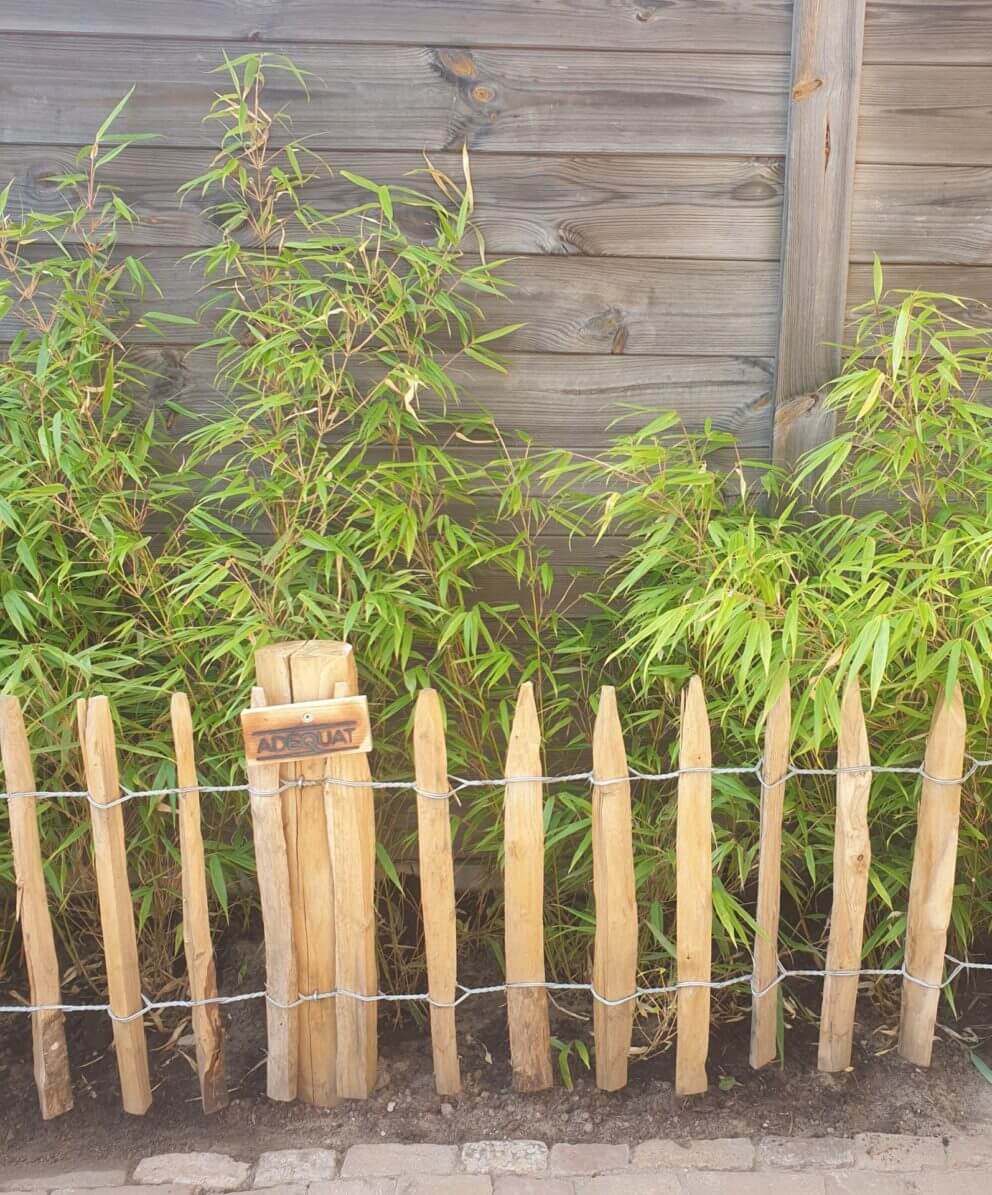 Schapenhek van 50 cm hoog met een latafstand van 4 cm en kastanje palen van 125 cm lang met een diameter van 7-9 cm gebruikt als afscheiding voor de borders in de tuin.