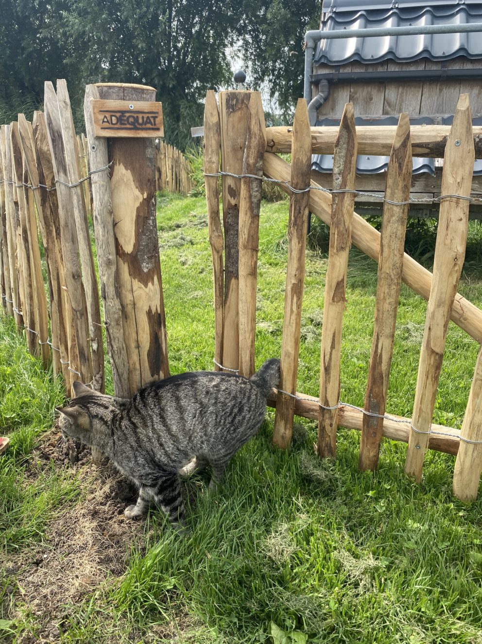 Rasterhekwerk 80 cm Adequat