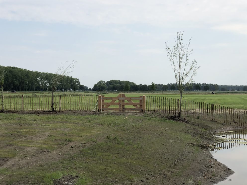 Frans schapenhek van kastanjehout met een hoogte van 120 cm en een latafstand van 10 cm