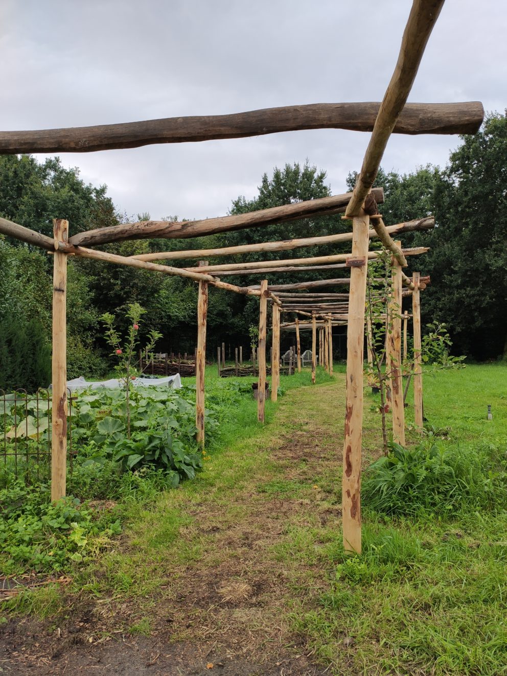 Kastanje palen met een hoogte van 300 cm en een diameter van 7-9 en 10-12 cm Adequat