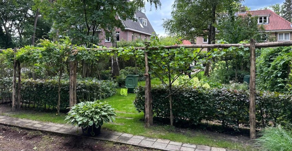 Robinia paal met een hoogte van 300 cm en een diameter van 8-10 cm Adequat