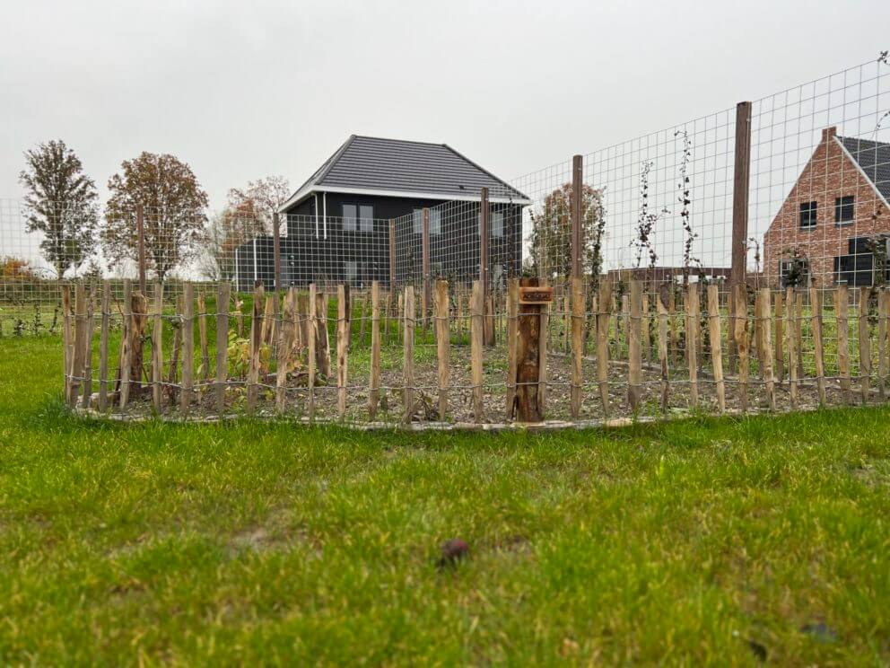 Moestuin met frans schapenhek van 50 cm hoog en latafstand 10 cm met kastanje palen 7/9 cm en 125 cm lang en 10/12 cm en 200 cm lang