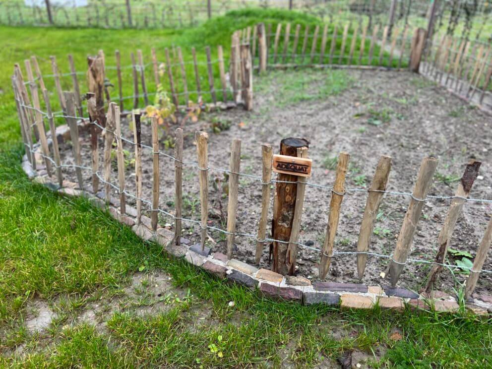 Moestuin met frans schapenhek van 50 cm hoog en latafstand 10 cm met kastanje palen 7/9 cm en 125 cm lang en 10/12 cm en 200 cm lang