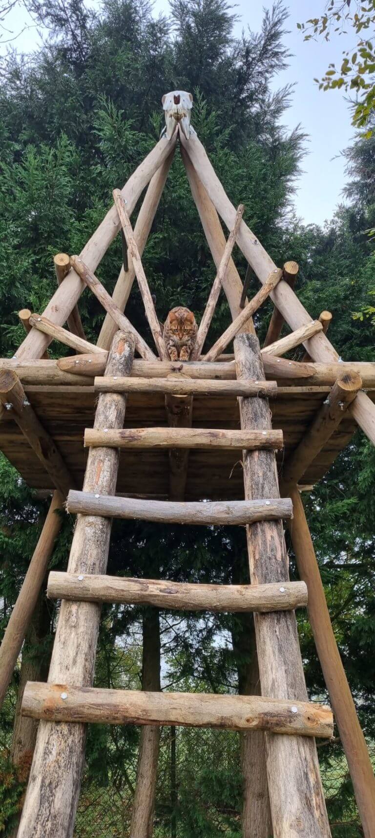 Boomhut piramide van robinia palen - Adéquat