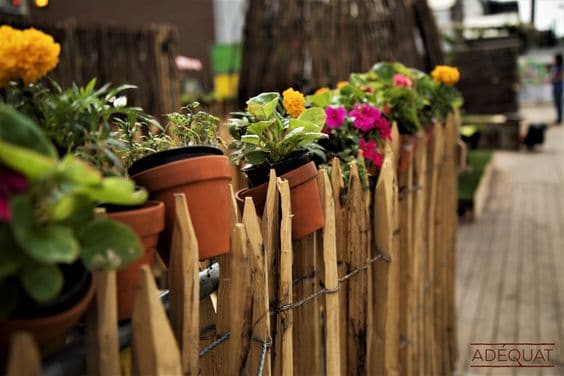 Terracotta potten met bloemen als decoratie tussen schapenhek