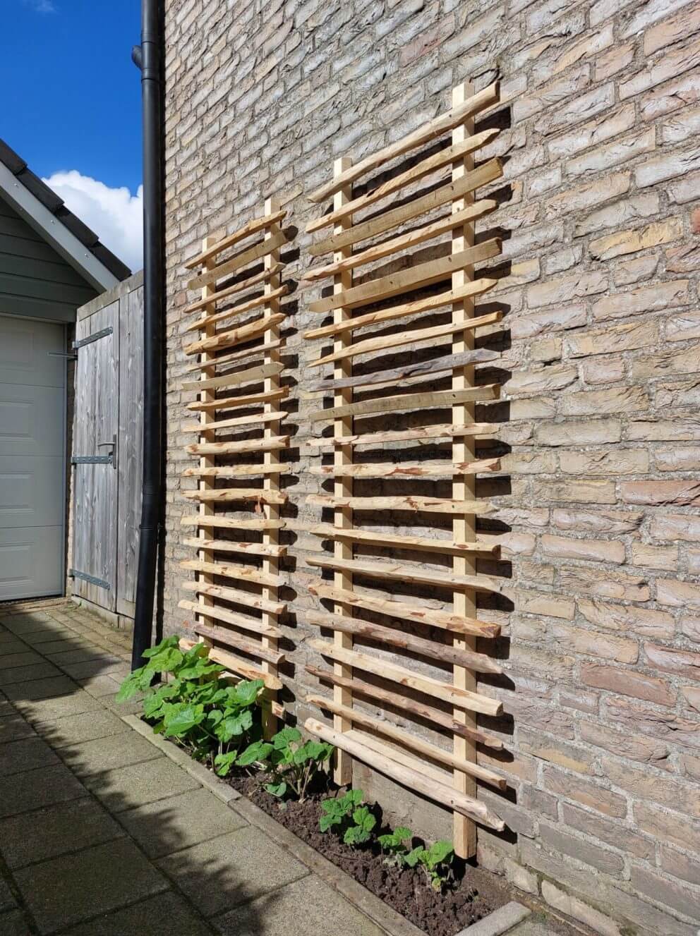 1/4 latten van kastanjehout als klimop muur voor planten.