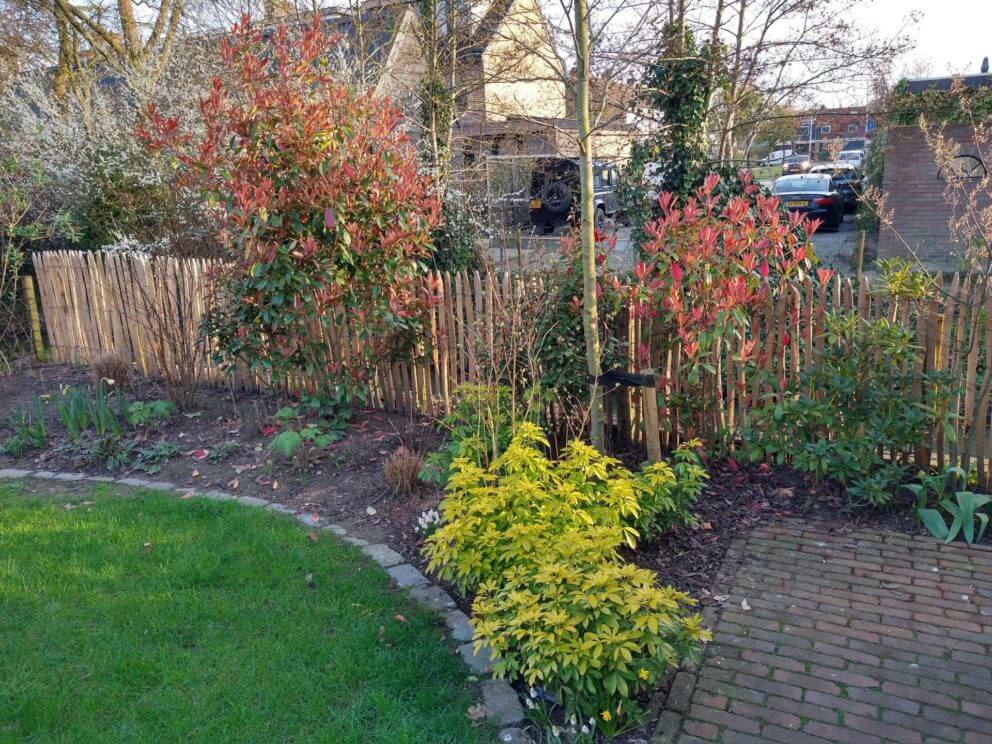 Frans schapenhek 100 cm hoog, latafstand 2 cm gebruikt als natuurlijke afrastering in de tuin