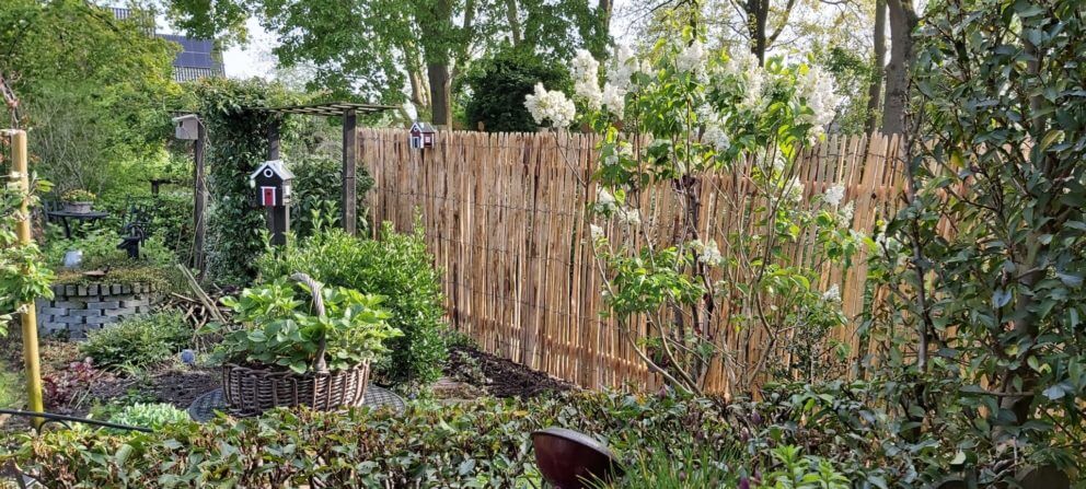 Frans kastanjehouten schapenhek 200 cm hoog met latafstand 2 cm als afrastering in de tuin en voorkomen van inkijk vanaf het wandelpad