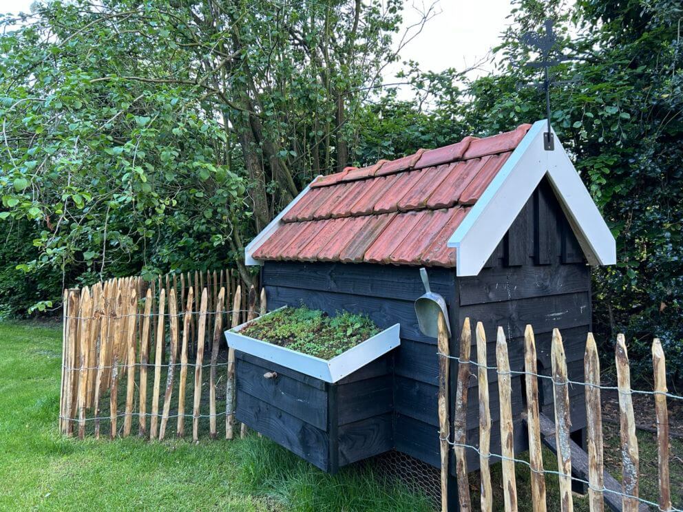 Frans schapenhek kastanje 100 cm hoog met een latafstand van 6 cm en kaatanje palen in de lengte 175 cm met een diameter van 7-9 cm en 10-12 cm gebruikt als omheining bij een kippenhok