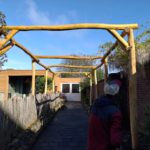 Pergola gemaakt van Robinia palen geschuurd in de lengte 300 cm en diameter 10-12 cm