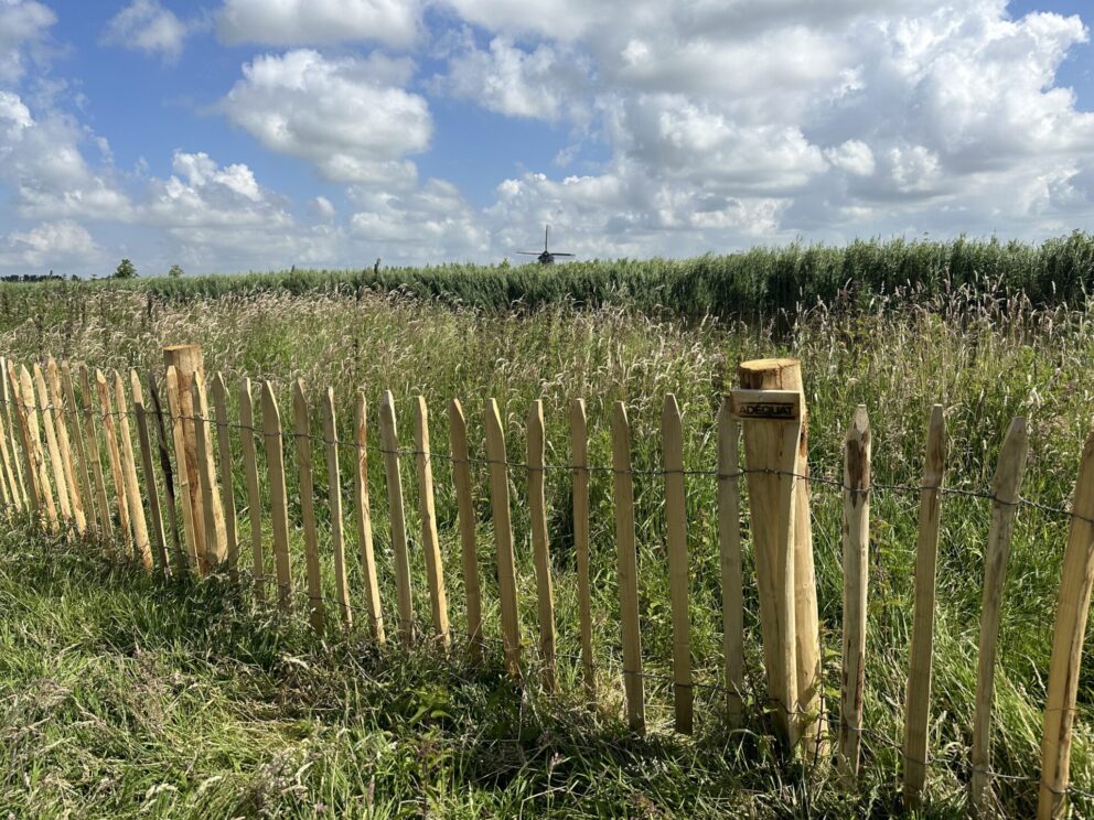 Frans schapenhek 80 cm hoog met een latafstand van 8 cm met kastanje palen van 150/160 cm lang met een diameter van 10-12 cm als omheining bij een stuk natuurbeheer perceel