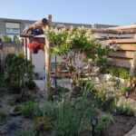 Pergola gemaakt van robinia palen in de diameter 10/12 cm en lengtes 200 en 350 cm met robinia paal in de diameter 12/14 cm en lengte 250 cm