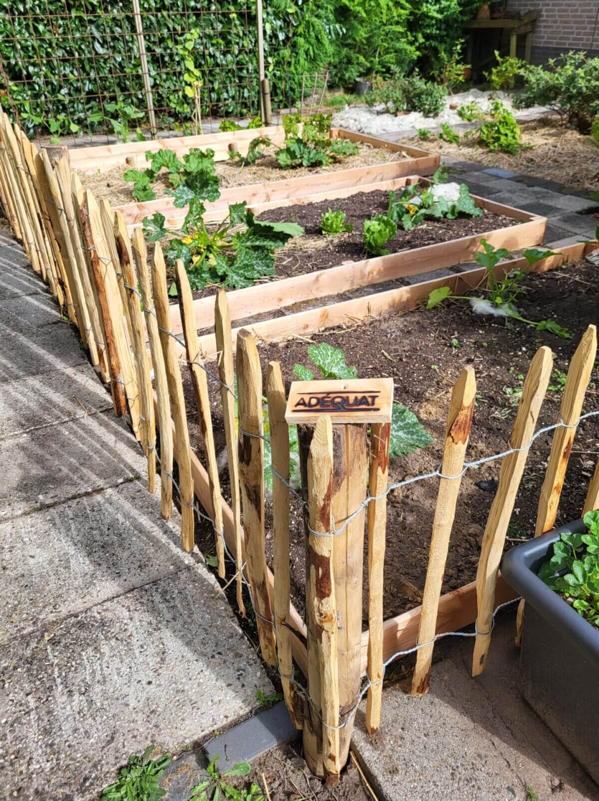 Moestuin omheining gemaakt van kastanje schapenhek 80 cm hoog, latafstand 10 cm met kastanje paal 120 cm lang, diam. 7/9 cm