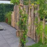 Robinia paal 160, 250, 300, 350 cm lang, diam. 10/12 cm en 500 cm lang, diam. 12/14 cm