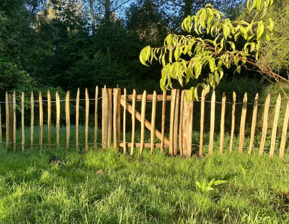 Frans schapenhek 80 cm hoog, latafstand 8 cm met kastanje paal 150/160 cm lang, diam. 7/9 en 10/12 cm met raamwerkpoort van 80 cm breed bij 80 cm hoog