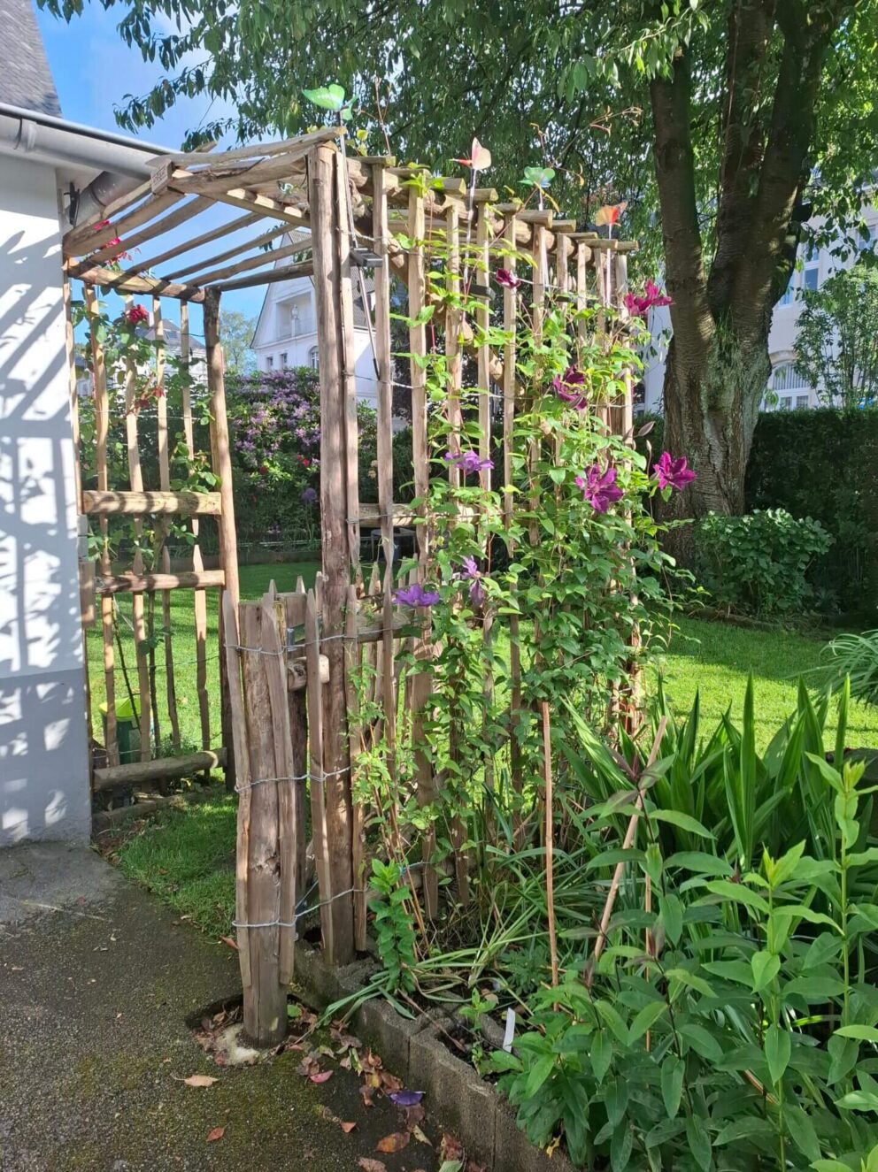 Houten rozenboog maken: schapenhek 100 cm, latafstand 6 cm en 8 cm, kastanjepaal 7/9 cm 150/160, 250 en 200 cm lang met punt en 200, 250 en 300 cm lang halfrond met schapenhekpoort 120Bx100H (cm)