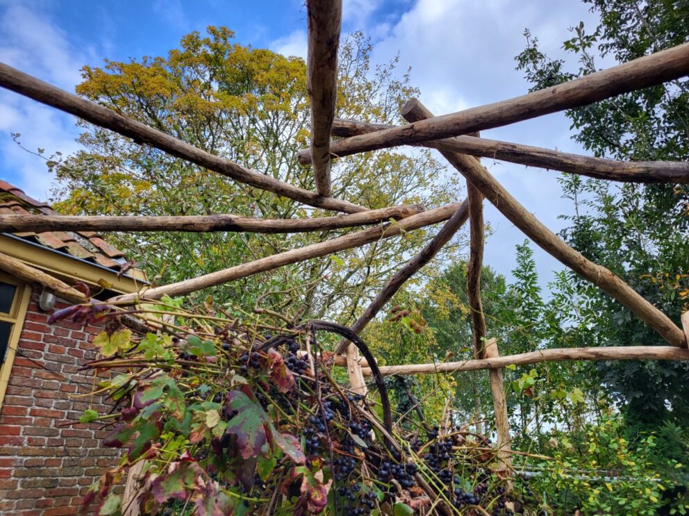 Creatieve pergola gemaakt van robinia palen in diverse afmetingen