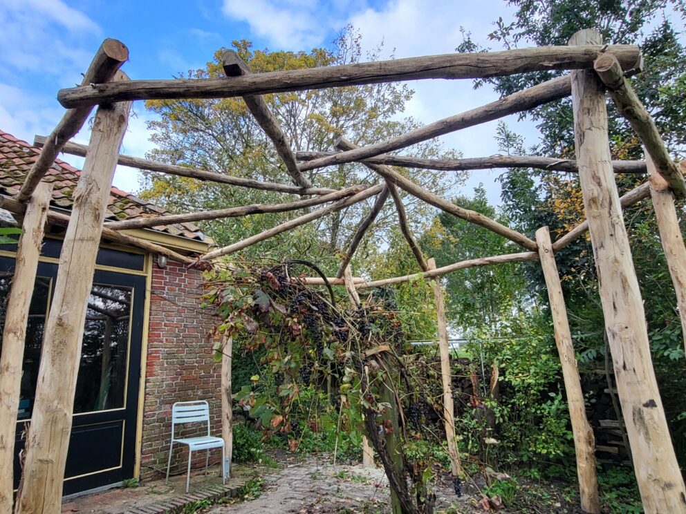 Creatieve pergola gemaakt van robinia palen in diverse afmetingen