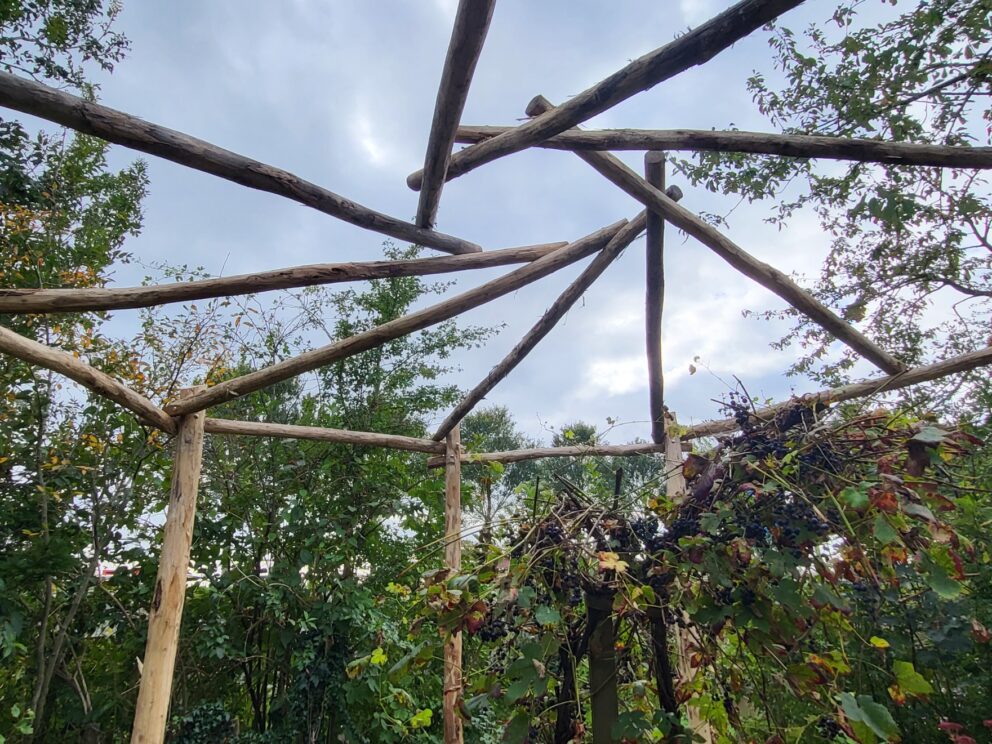 Creatieve pergola gemaakt van robinia palen in diverse afmetingen