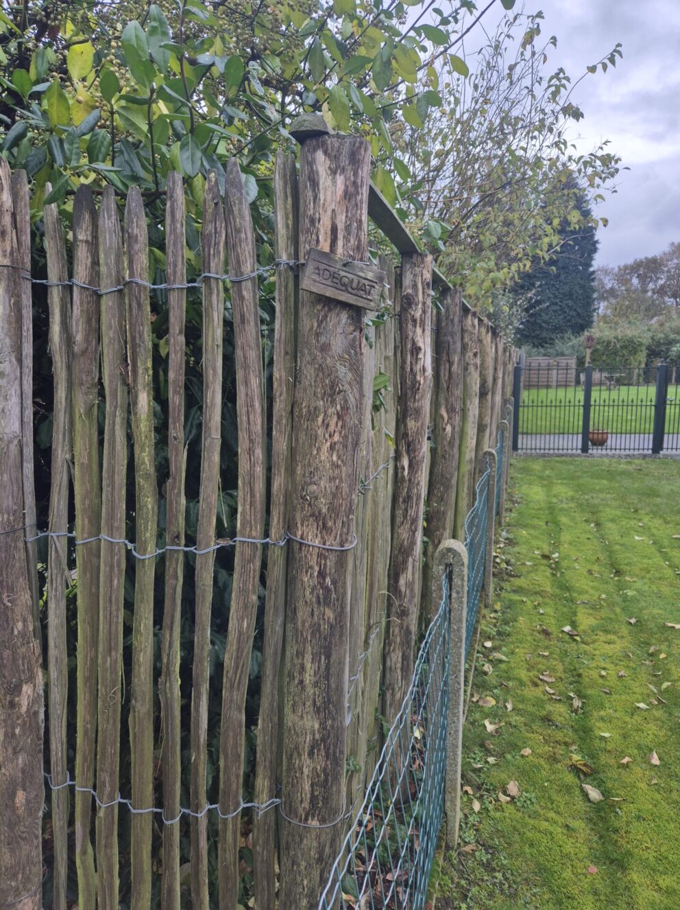 Schapenhek kastanje 175 cm hoog, latafstand 2 cm met robinia paal 250 cm lang, diameter 10/12 cm