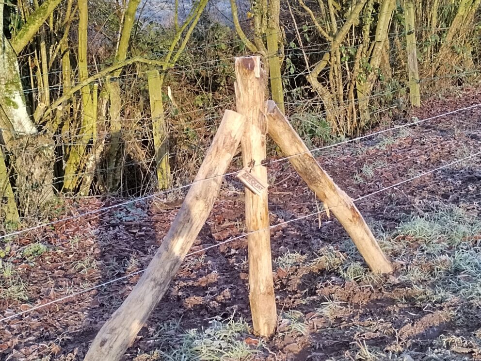 Omheining voor ezels gemaakt van schrikdraad en robinia palen 180 cm lang, diameter 10/12 cm