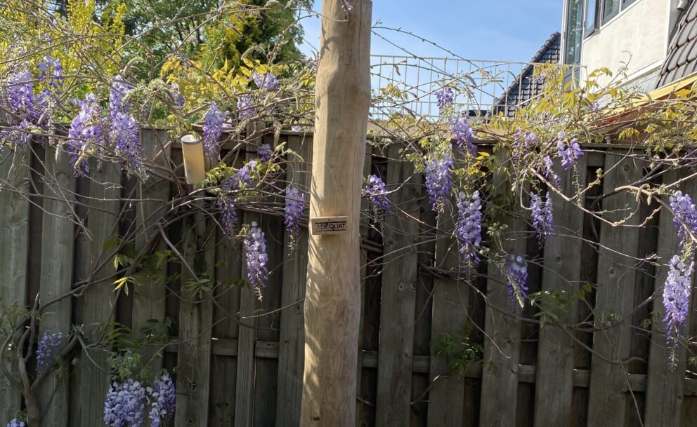 Een vlaggenmast gemaakt van robinia, diameter 19/21