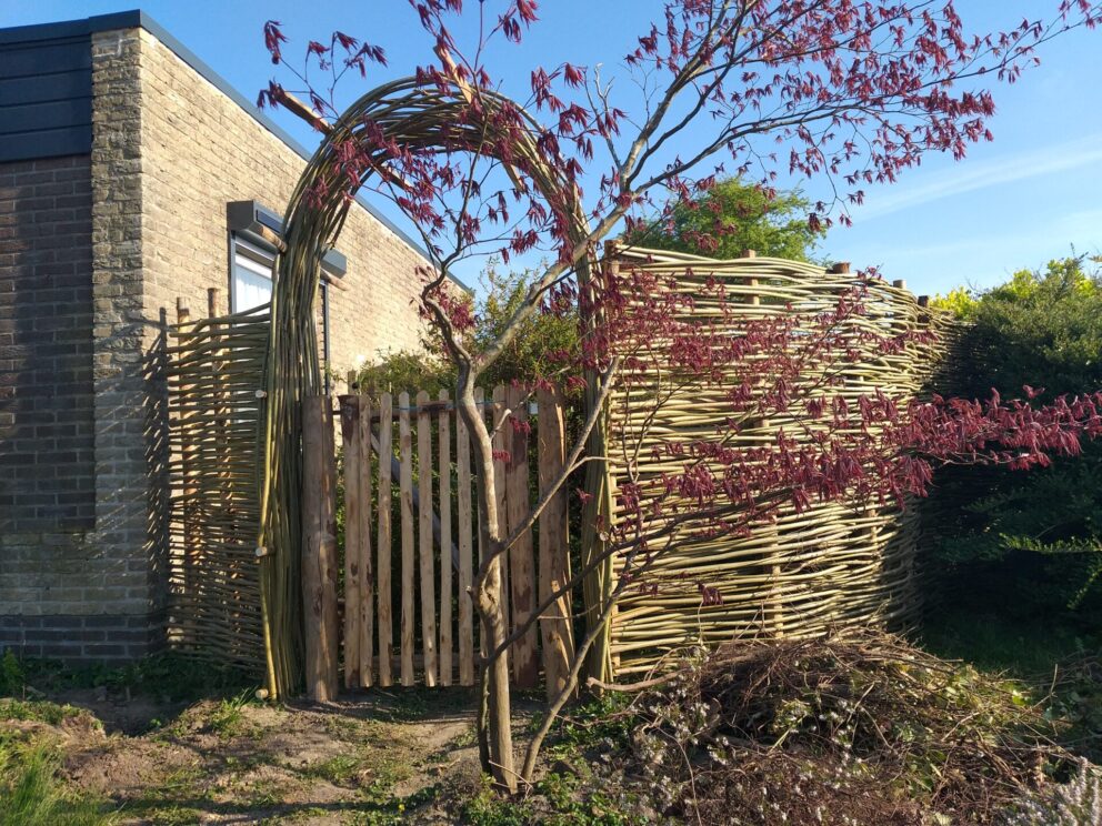 Rozenboog gemaakt van wilgentenen met een schapenhek poort van 80 cm breed bij 120 cm hoog.