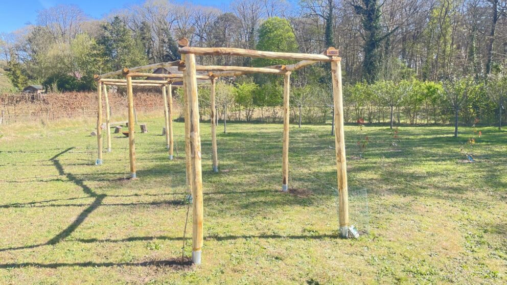 Kronkelende pergola van kastanje paal diameter 7/9 in de lengtes 150/160, 200 en 250 cm lang met bodemhuls met spie