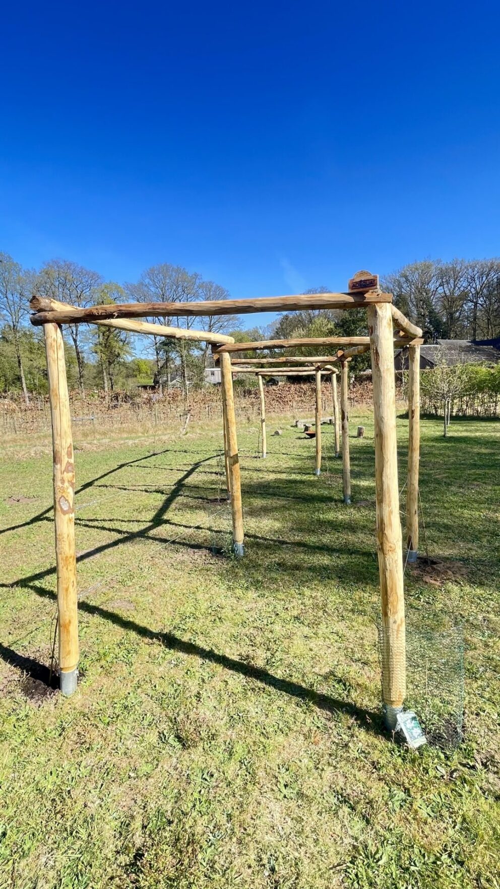 Kronkelende pergola van kastanje paal diameter 7/9 in de lengtes 150/160, 200 en 250 cm lang met bodumhuls met spie