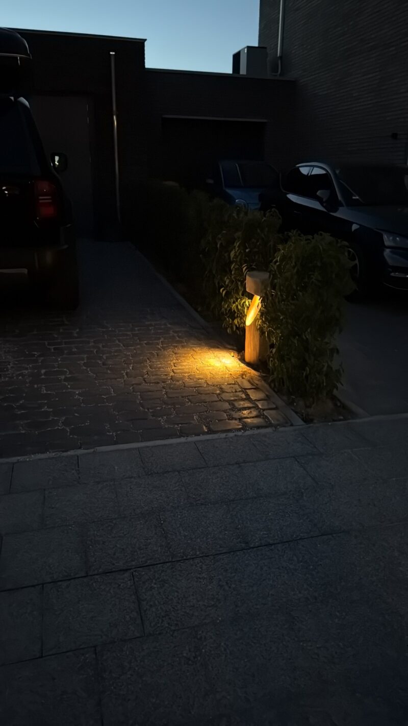 Padverlichting Billy robinia rond voorbereid voor In-lite lamp FLUX - Afbeelding 6