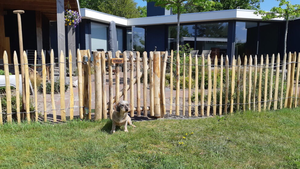 Hond met Frans schapenhek kastanje 80 hoog, latafstand 4 cm, 2x 5 meter, kastanje paal 120 cm lang, diameter 7-9 cm, gepunt, kastanje paal 150/160 cm lang, diameter 10-12 cm, gepunt en schapenhek poort kastanje enkel 80 x 80 cm