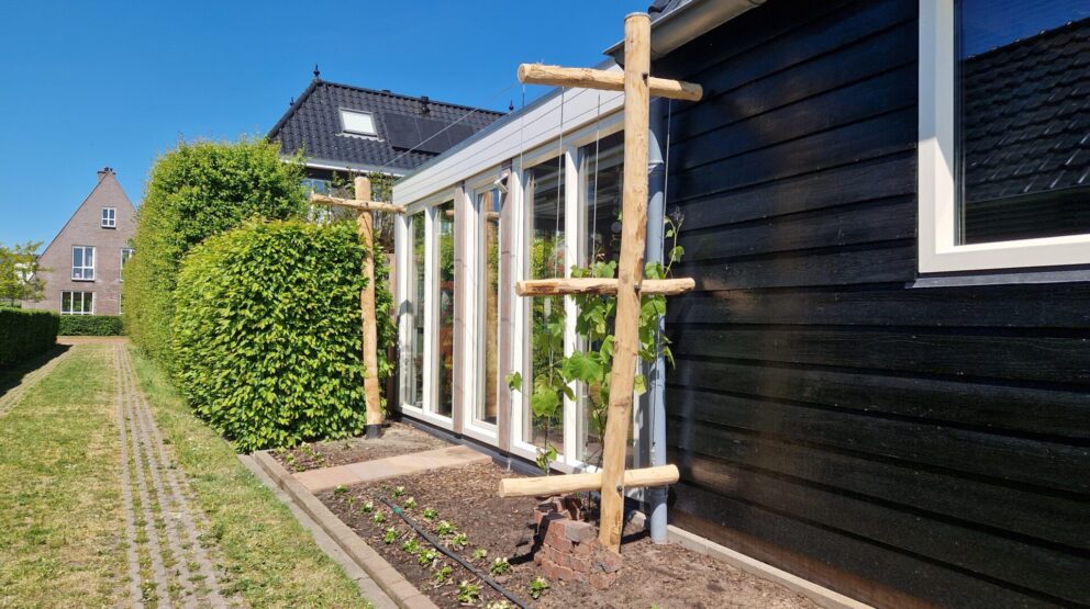 Pergola voor planten gemaakt van robinia paal 160 cm lang, diameter 6/8 cm en 350 cm lang, diameter 10/12 cm