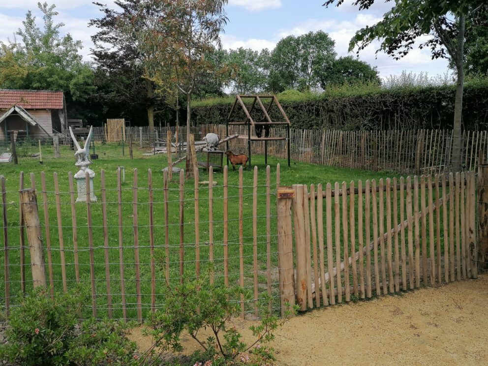 Robinia hekwerk aanbieding (robinia schapenhekwerk 120 cm hoog latafstand 8 cm, 10 meter per rol) en poort aanbieding (110 cm breed x 150 cm hoog, veranderde draairichting) in een tuin als afrastering bij een geiten weide