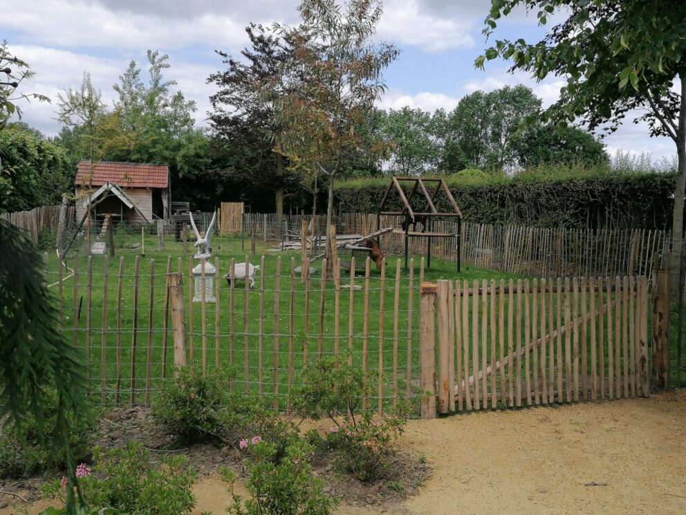 Robinia hekwerk aanbieding (robinia schapenhekwerk 120 cm hoog latafstand 8 cm, 10 meter per rol) en poort aanbieding (110 cm breed x 150 cm hoog, veranderde draairichting) in een tuin als afrastering bij een geiten weide