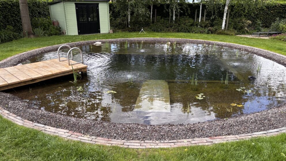 Steiger naar vijver gemaakt van kastanje paal 400 cm lang, diam. 10/12 cm en kastanje plank gezaagd 3x20x250 cm en kastanje balk rustiek bezaagd van 10x10x300 en 10x10x400 cm